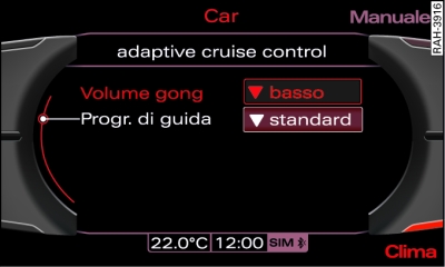 Display: adaptive cruise control